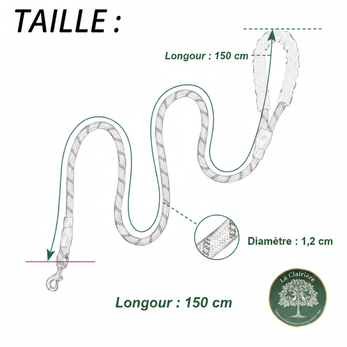 Le Duo — Laisse technique premium