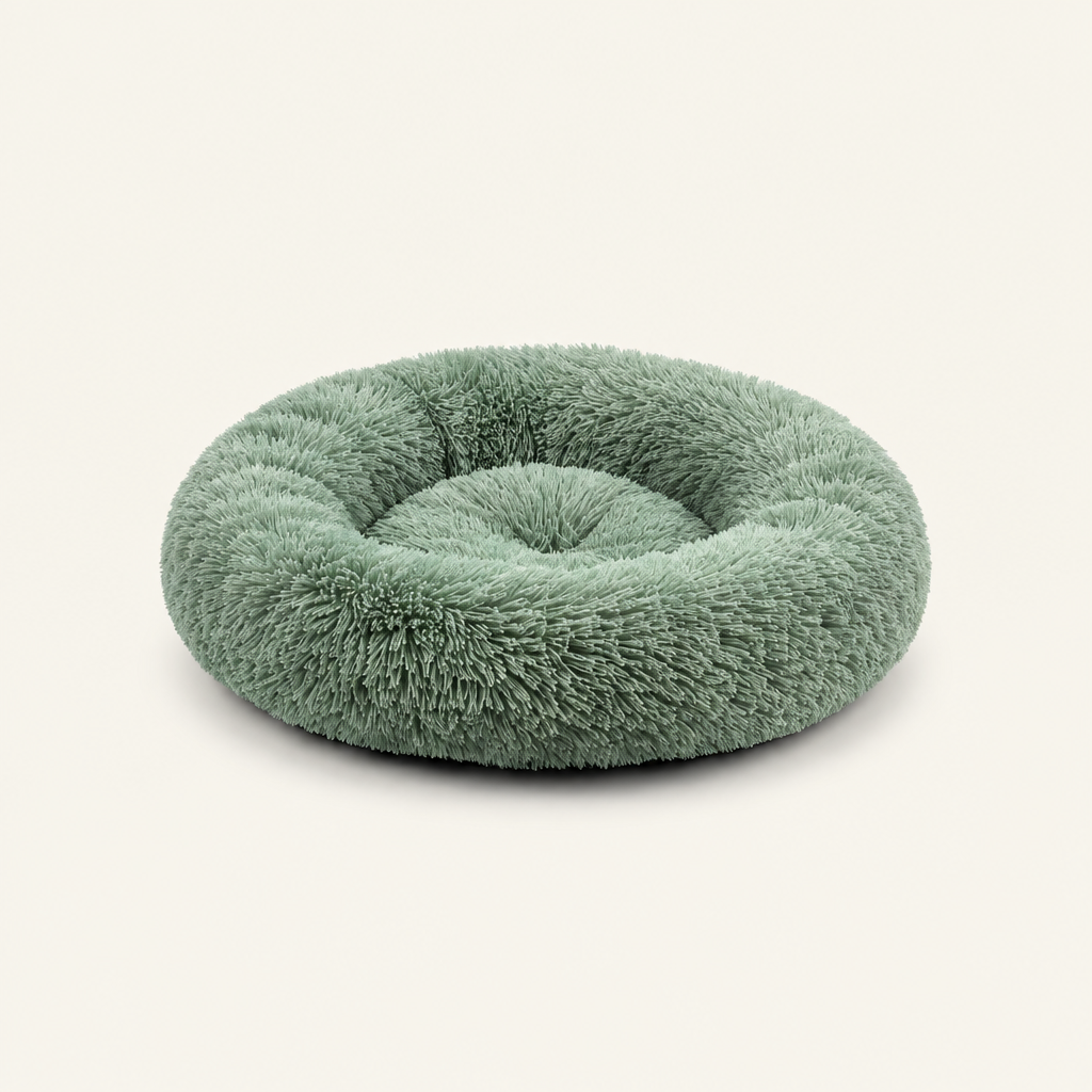Le Nid vert, un seul panier